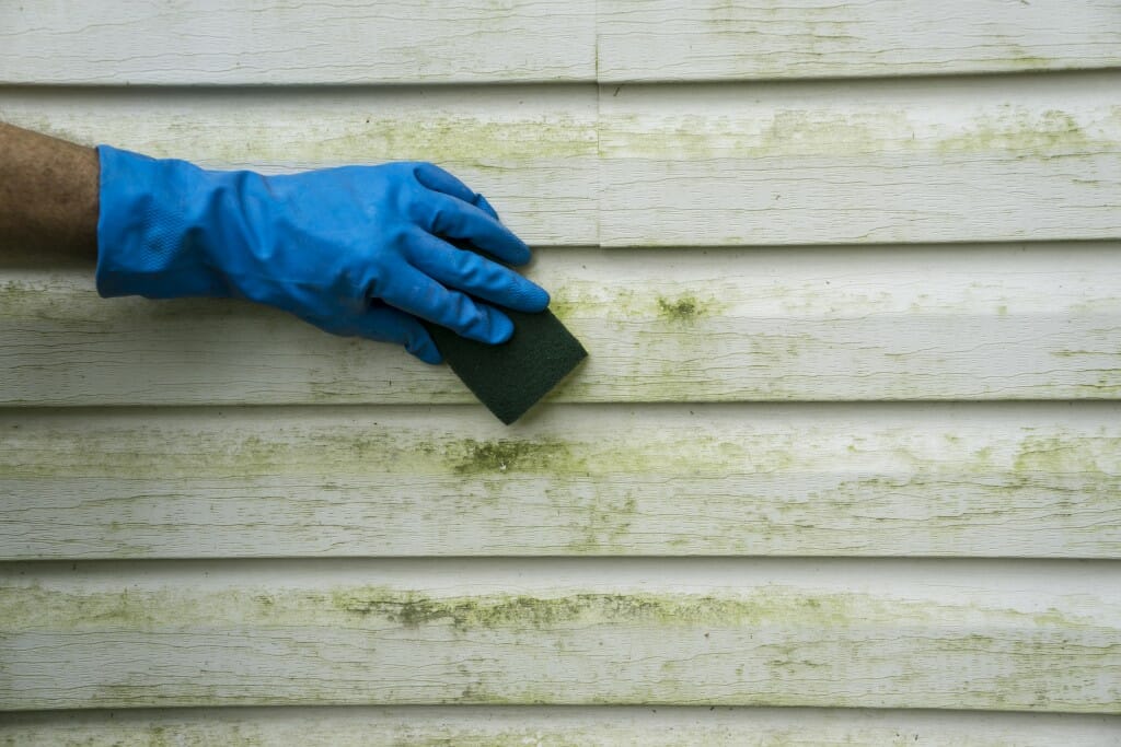 Washing dirty over grown vinyl siding