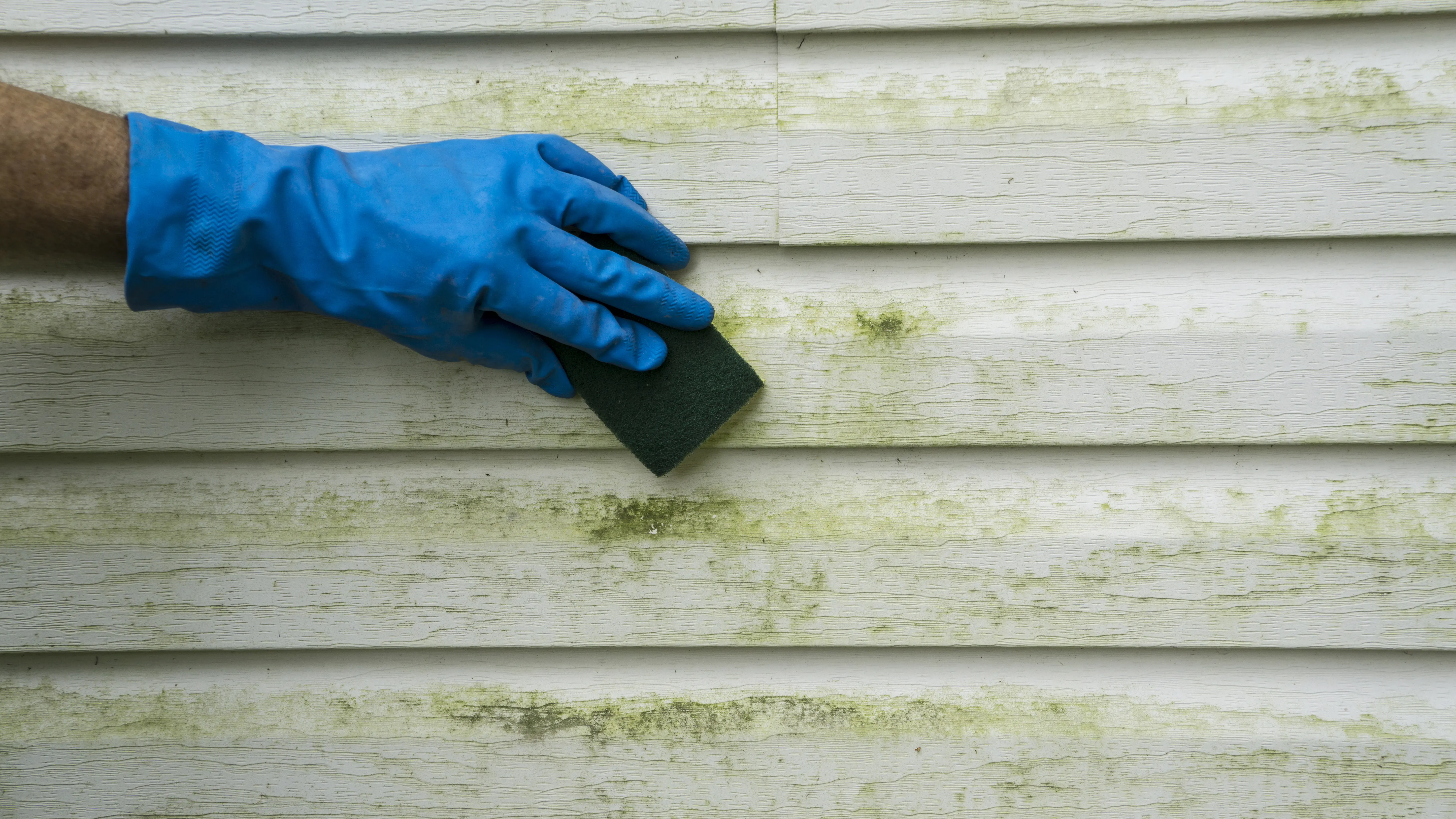 What is siding cleaning vinyl siding