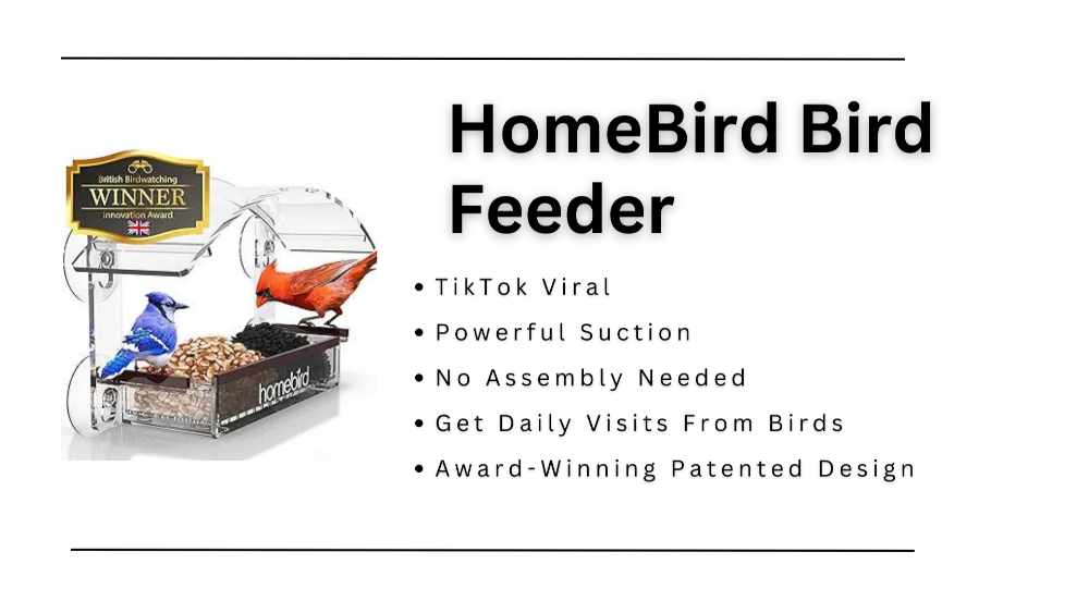 Window bird feeder