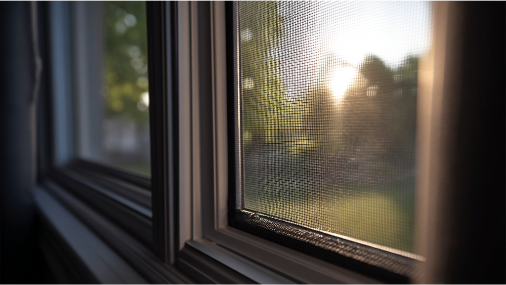 Mesh window screen with soft sunlight and outdoor greenery in the background